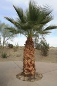 Enlarge photo 34