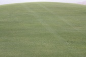 Enlarge photo 40