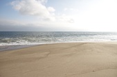 Enlarge photo 45