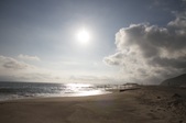 Enlarge photo 48