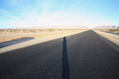 Enlarge photo 52