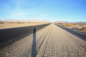 Enlarge photo 60