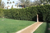 Enlarge photo 28