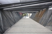Enlarge photo 76