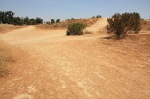 Enlarge photo 26