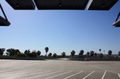 LACC
