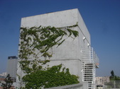 Enlarge photo 52