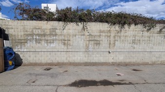 Enlarge photo 31