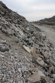 Enlarge photo 34