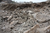 Enlarge photo 61