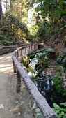 Enlarge photo 33