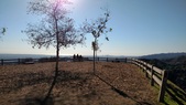 Griffith Park Options