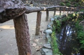 Enlarge photo 30
