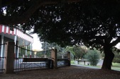 Enlarge photo 34