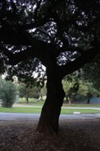 Enlarge photo 35