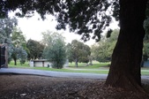 Enlarge photo 36