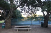 Enlarge photo 38