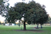 Enlarge photo 39