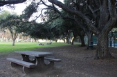 Enlarge photo 40
