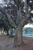 Enlarge photo 41