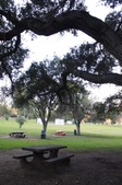 Enlarge photo 42