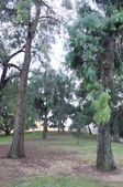 Enlarge photo 43