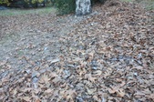 Enlarge photo 47