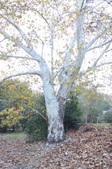 Enlarge photo 48