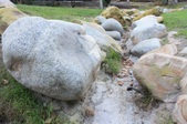 Enlarge photo 49