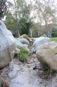 Enlarge photo 50