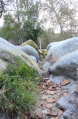 Enlarge photo 51