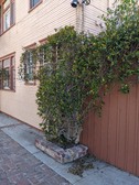 Enlarge photo 26