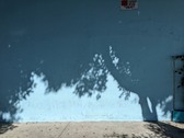 Enlarge photo 41