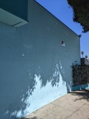 Enlarge photo 42