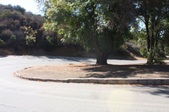 Griffith Park