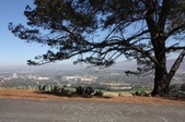 Enlarge photo 30