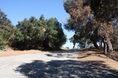 Enlarge photo 31