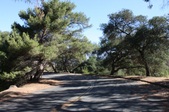 Enlarge photo 32