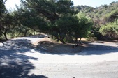 Enlarge photo 34