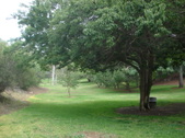 Enlarge photo 40