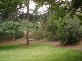 Enlarge photo 41