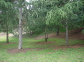 Enlarge photo 44