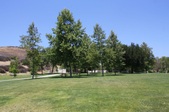 Enlarge photo 33