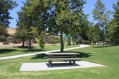 Enlarge photo 37