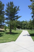 Enlarge photo 40