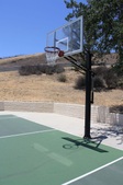 Enlarge photo 47