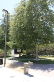 Enlarge photo 52