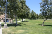 Enlarge photo 54