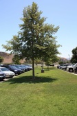 Enlarge photo 58