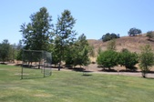 Enlarge photo 36